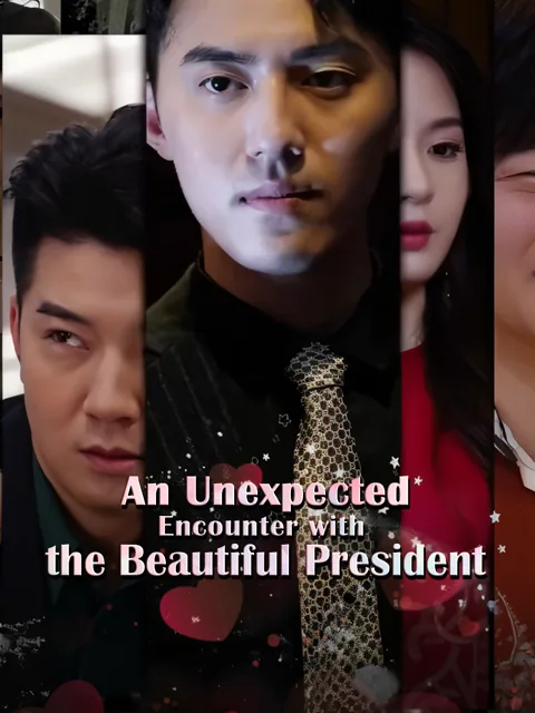 An Unexpected Encounter with the Beautiful President poster
