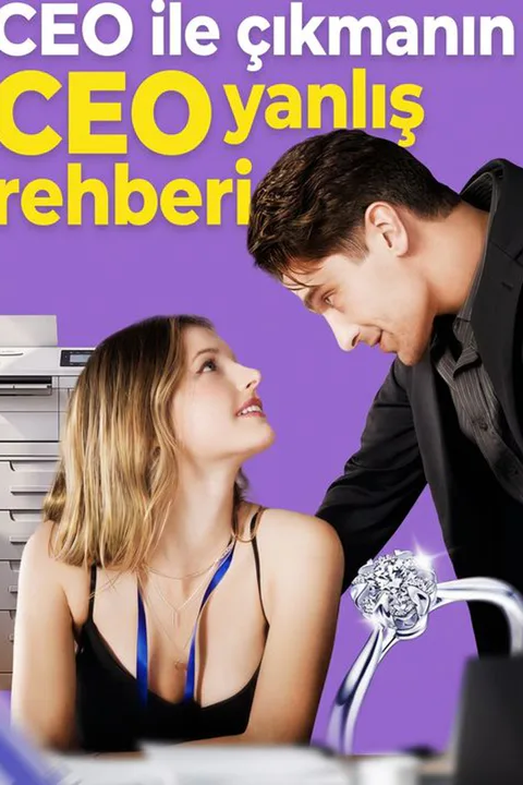 An Unreliable Guide on Dating Your CEO poster