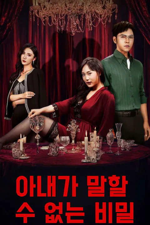 아내가 말할 수 없는 비밀 포스터