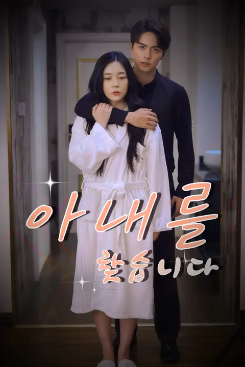 아내를 찾습니다 포스터