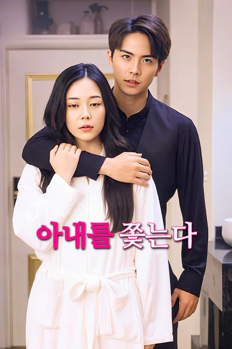 아내를 쫓는다-1 포스터