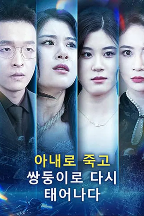 아내로 죽고, 쌍둥이로 다시 태어나다 포스터