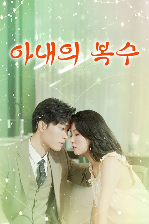 아내의 복수 포스터