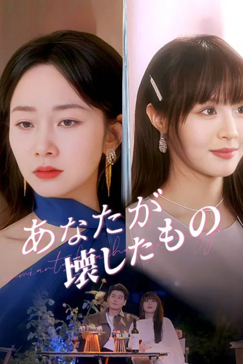 あなたが壊したもののポスター