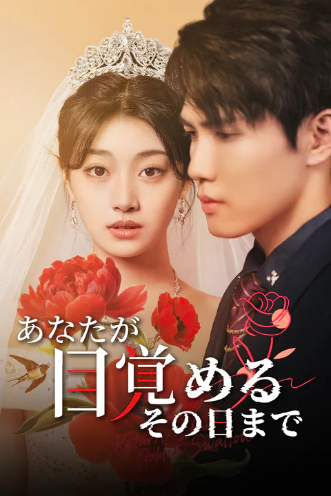 あなたが目覚めるその日までのポスター