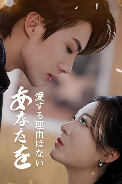 あなたを愛する理由はないのポスター