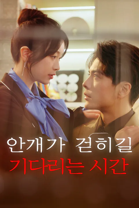 안개가 걷히길 기다리는 시간 포스터