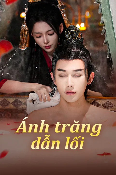 Poster Ánh trăng dẫn lối