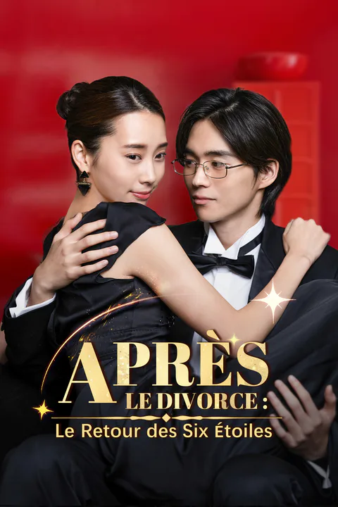 Affiche d’Après le Divorce : Le Retour des Six Étoiles