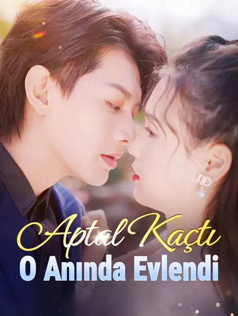 Aptal Kaçtı, O Anında Evlendi afişi