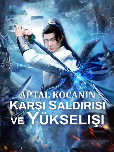 Aptal kocanın karşı saldırısı ve yükselişi afişi