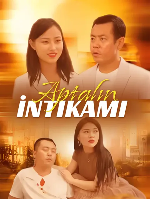 Aptalın İntikamı afişi