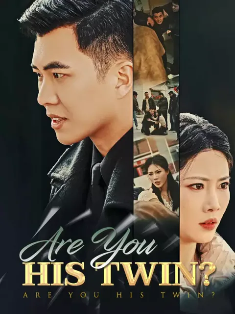 Are You His Twin poster