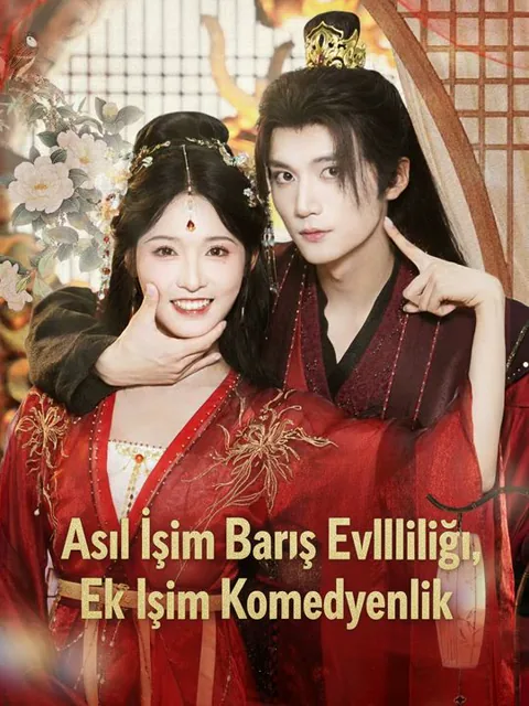 Asıl İşim Barış Evliliği, Ek İşim Komedyenlik afişi