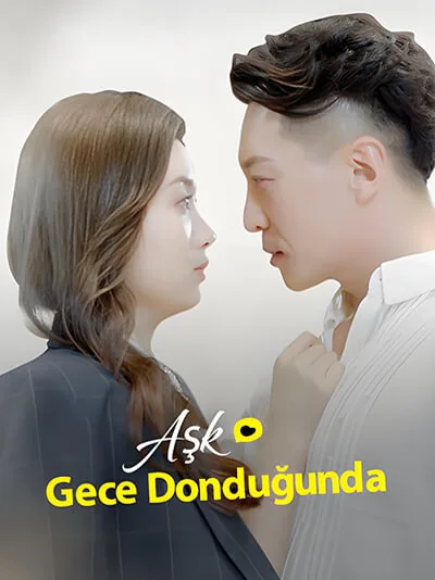 Aşk Gece Donduğunda afişi