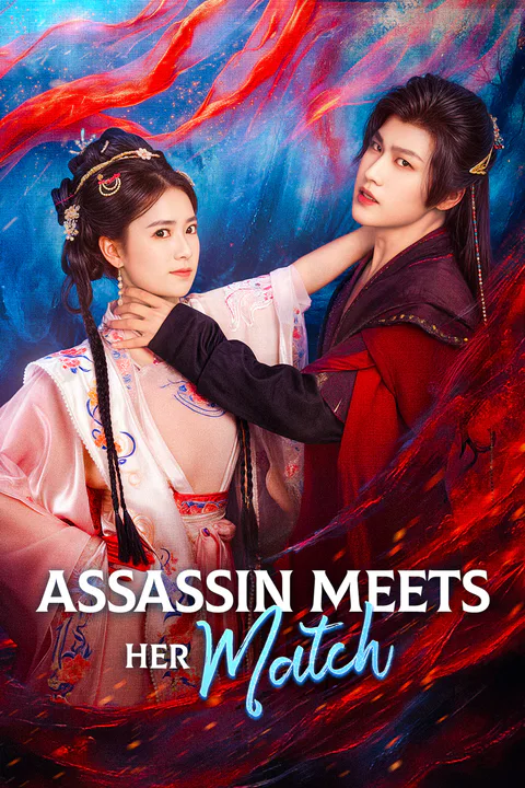 Assassin Meets Her Match(Dubbed) poster