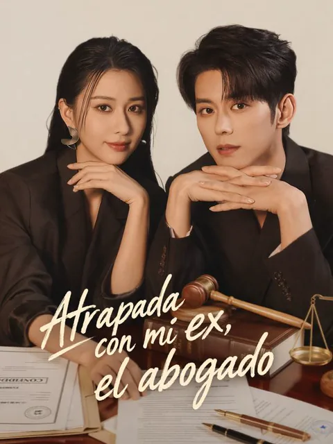 Póster de Atrapada con mi ex, el abogado