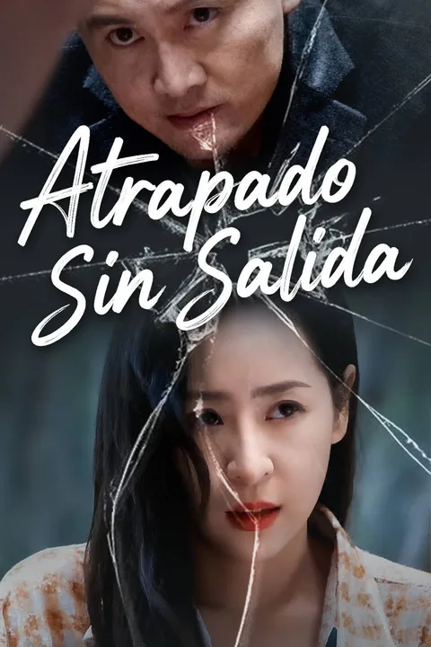 Póster de Atrapado Sin Salida