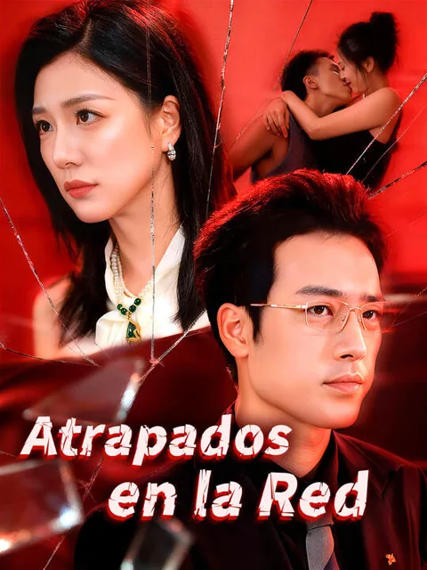 Póster de Atrapados en la Red