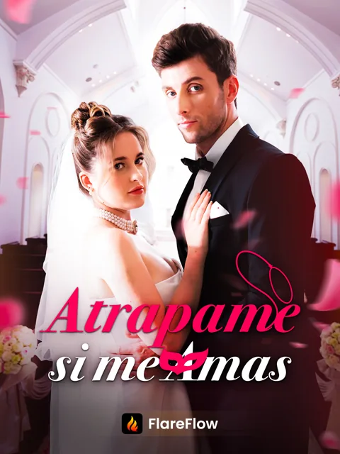 Póster de Atrapame si me amas