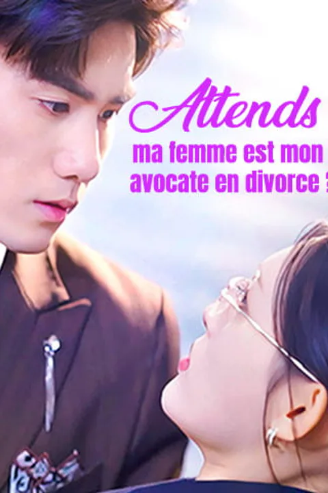 Affiche d’Attends, ma femme est mon avocate en divorce ?