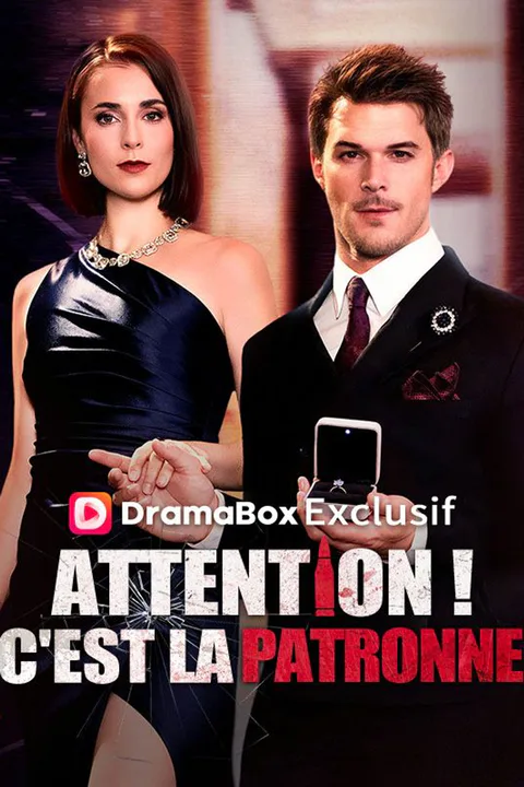 Affiche d’Attention ! C'est la Patronne (Doublé)