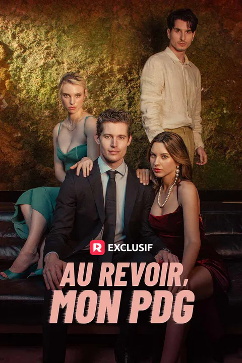 Affiche d’Au revoir, mon PDG