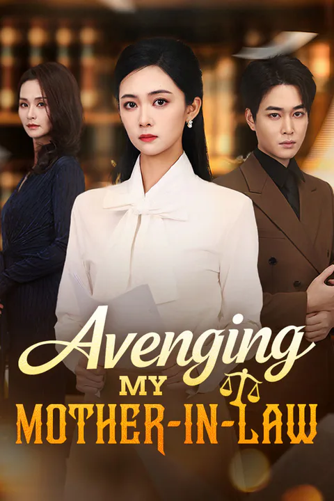 Avenging My Mother-In-Law poster