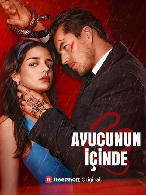 Avucunun İçinde afişi