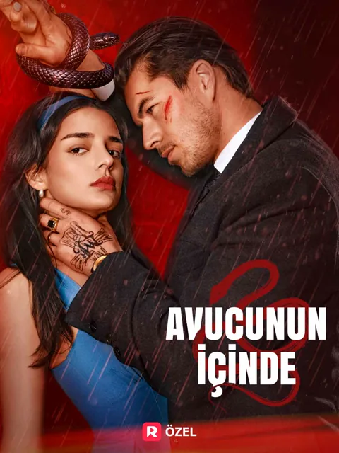 Avucunun İçinde afişi