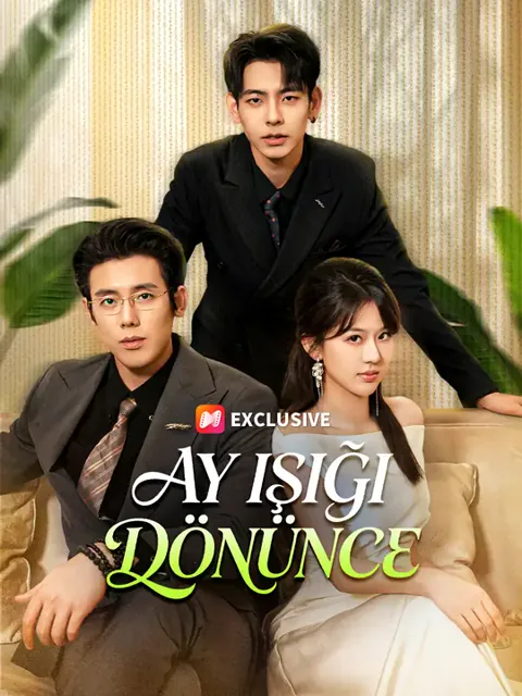 Ay Işığı Dönünce afişi