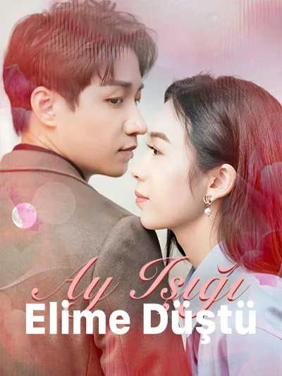 Ay Işığı Elime Düştü afişi