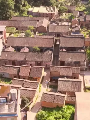 Ayla'nın mucizesi afişi