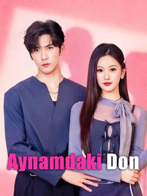Aynamdaki Don afişi