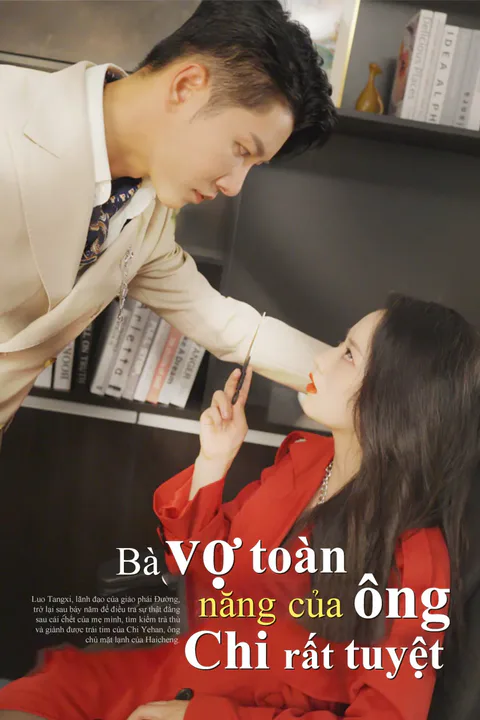 Poster Bà vợ toàn năng của ông Chi rất tuyệt