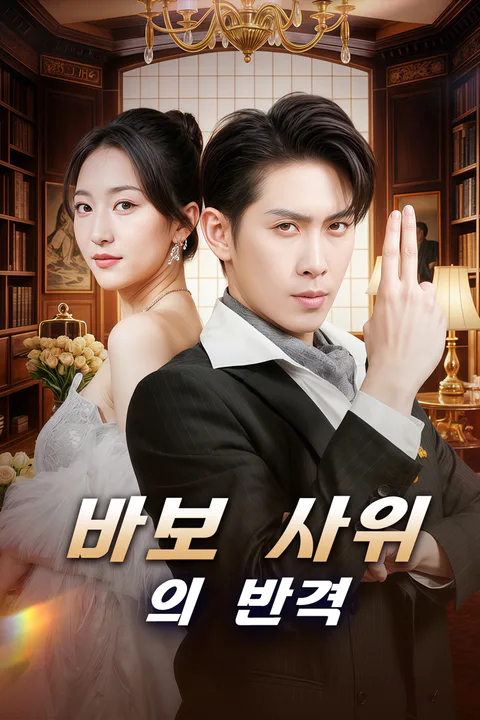 바보 사위의 반격 (더빙) 포스터