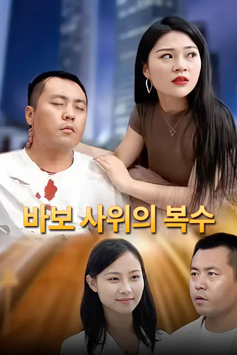 바보 사위의 복수-1 포스터