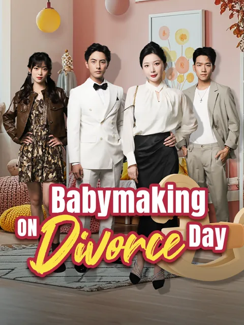 Babymaking on Divorce Day poster
