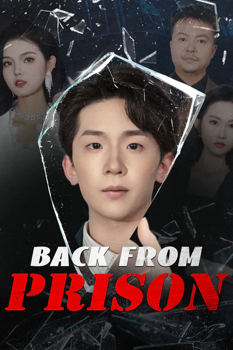 Back From Prison poster