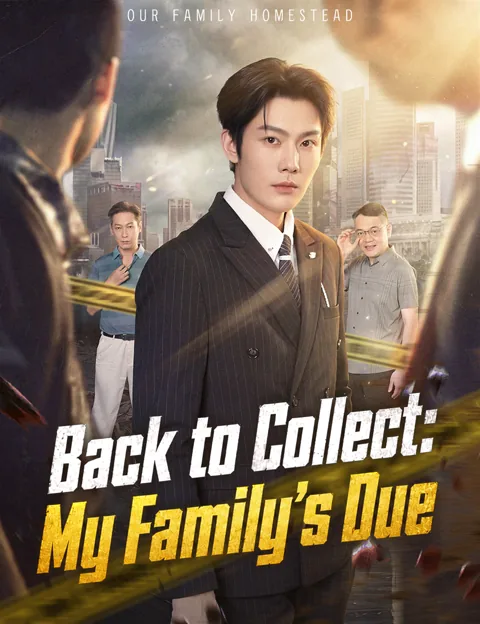 Back to Collect: My Family's Due poster