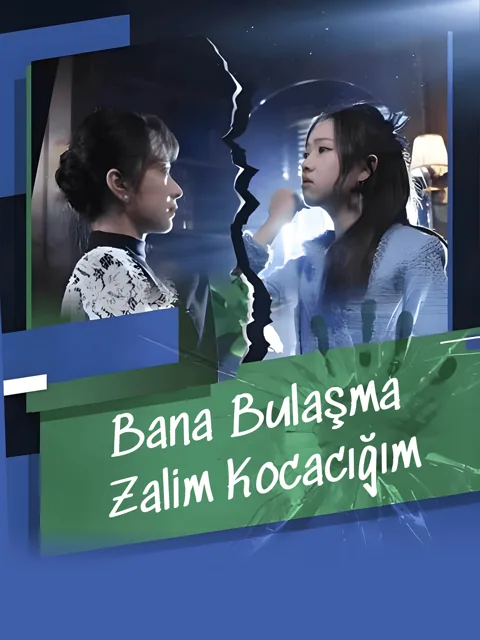 Bana Bulaşma Zalim Kocacığım afişi