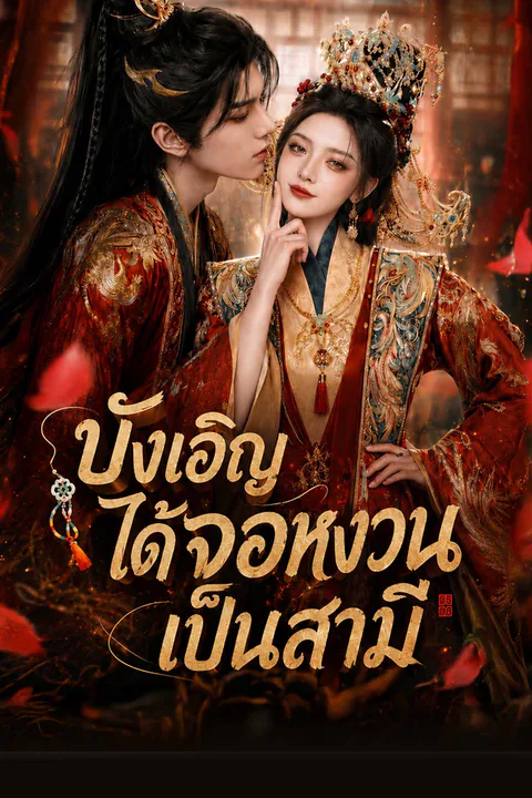 โปสเตอร์ บังเอิญได้จอหงวนเป็นสามี