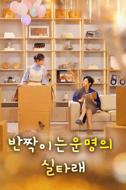 반짝이는 운명의 실타래 포스터