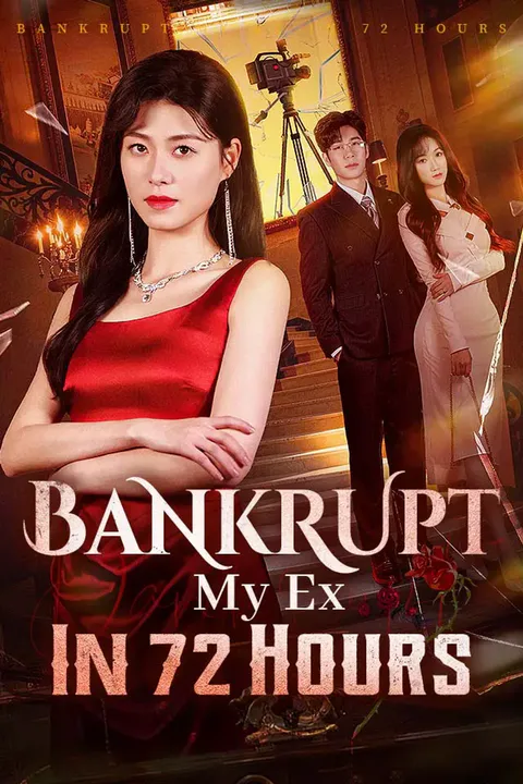 Bankrupt My Ex In 72 Hours poster