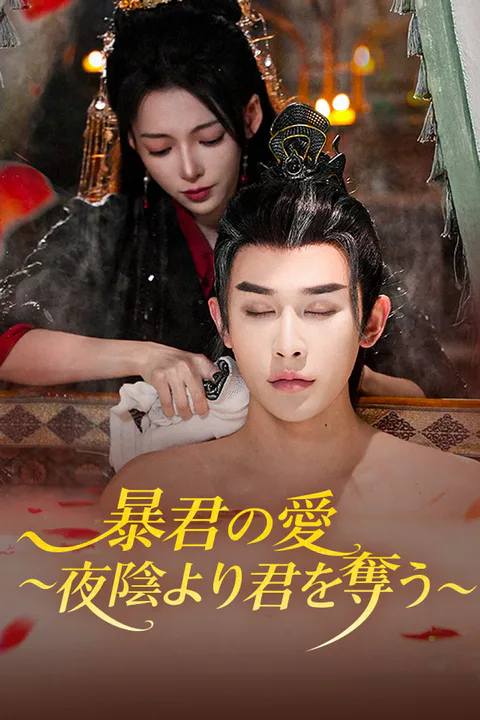 暴君の愛～夜陰より君を奪う～のポスター