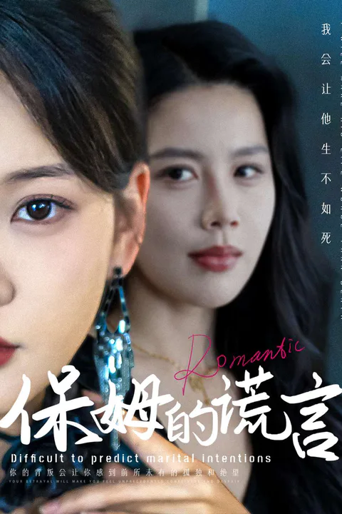 《保姆的谎言》海报