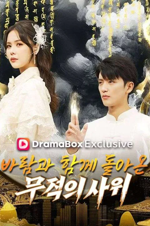 바람과 함께 돌아온 무적의 사위 (더빙) 포스터