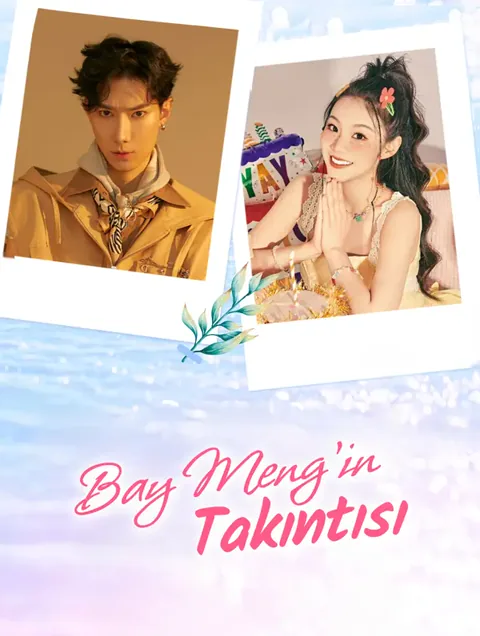 Bay Meng'in Takıntısı afişi