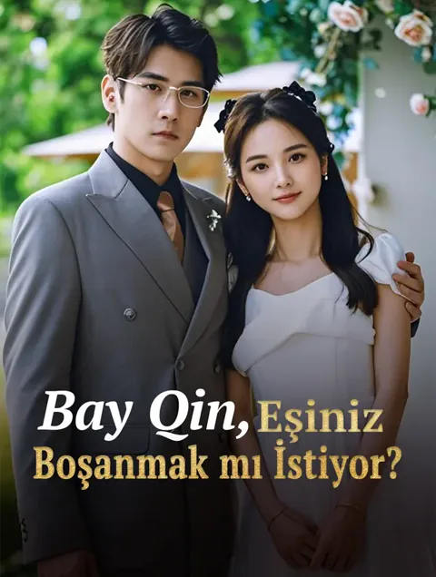 Bay Qin, Eşiniz Boşanmak mı İstiyor? afişi