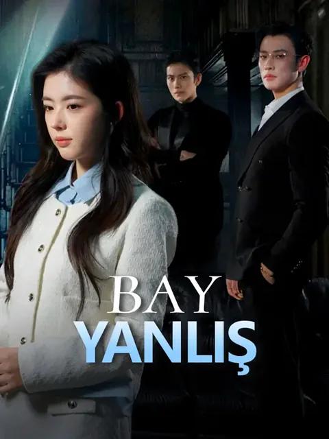 Bay Yanlış afişi